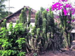 Tesoro. La belleza de la naturaleza autóctona de Singayta es por sí sola una invitación a visitarla.  /