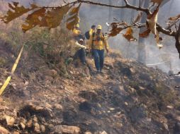 El fuego no ha podido apagarse por la fuerza del viento. ESPECIAL /