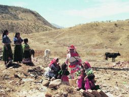 Comunidades indígenas. San Andrés Cohamiata y Ocote de la Sierra, listas este año.  /