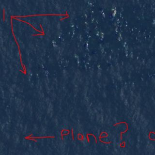 Courtney Love asegura que halló el avión Malasia Airlines