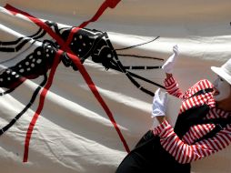 Las picaduras de mosquito suelen ser bastante comunes; sin embargo, es importante conocer cómo evitarlas. ARCHIVO /