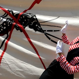 Diez síntomas que no sabías sobre las picaduras de insectos