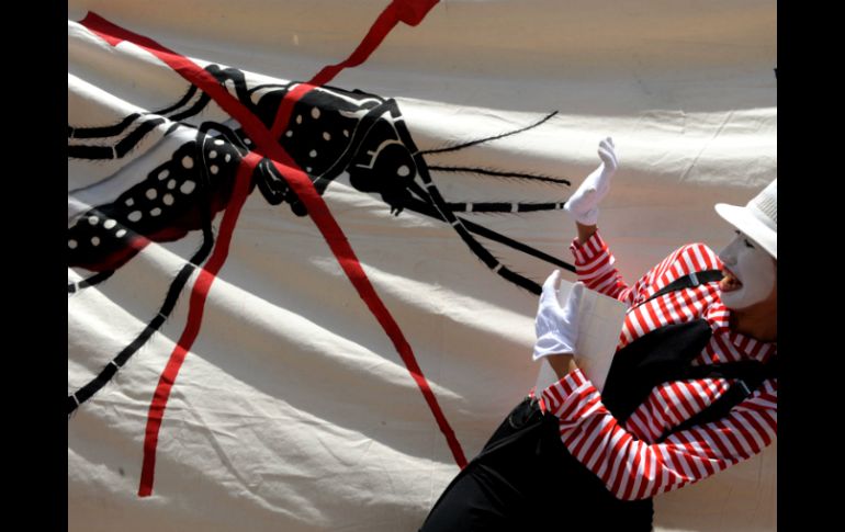 Las picaduras de mosquito suelen ser bastante comunes; sin embargo, es importante conocer cómo evitarlas. ARCHIVO /