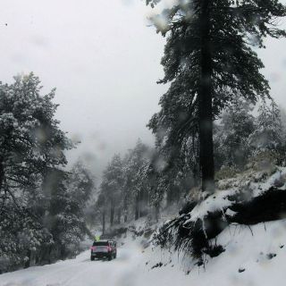 Dan a áreas naturales una sexta parte de lo requerido