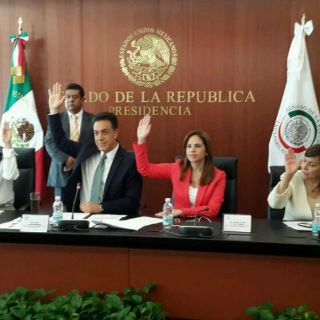 Comisión avala nombramiento de Rubido en CNS