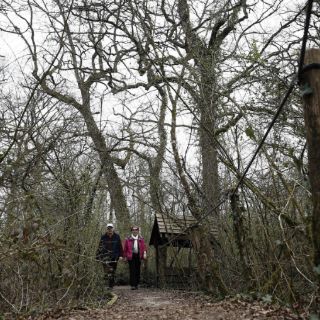 Planeta pierde superficie forestal cuatro veces mayor que Italia