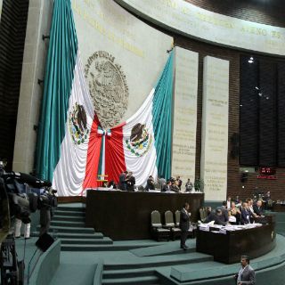 Reformas deben impulsar a Afore a rendir más a trabajadores: diputado