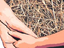 Óscar Antonio López Enamorado es otra aguja perdida en este país.  /