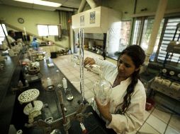 El proyecto de la doctora fue apoyado monetariamente por el Consejo Estatal de Ciencia y Tecnología del Estado. ARCHIVO /