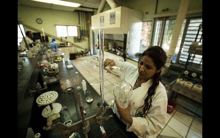 El proyecto de la doctora fue apoyado monetariamente por el Consejo Estatal de Ciencia y Tecnología del Estado. ARCHIVO /