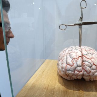 Miguel Chevalier abre el salón Art Paris Art Fair