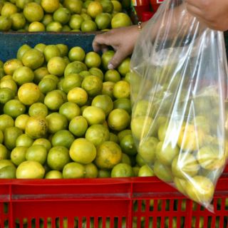 Diconsa inicia venta de limón a 26 pesos el kilo