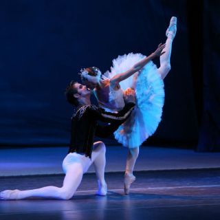 'El Lago de los Cisnes' regresa renovado
