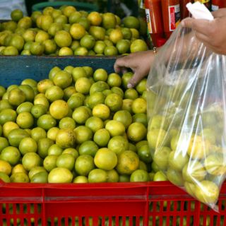 Con producción de Veracruz, terminará la escasez de limón
