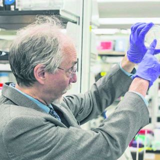 Dan un paso histórico hacia la vida artificial