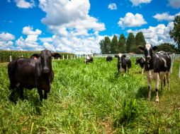 Los Secretarios de Agricultura de ambos países establecen intercambiar conocimientos sobre el desarrollo agropecuario en zonas áridas. ARCHIVO /
