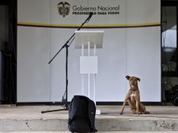 Desde noviembre de 2012, las FARC sositiene diálogos de paz con el gobierno colombiano para poner fin al conflicto armado. AP /