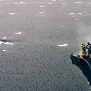Tribunal ordena a Japón frenar temporalmente caza de ballenas