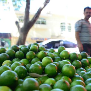 Inicia venta de limón a 26 pesos kilogramo en Tlaxcala