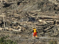 Bomberos y trabajadores de rescate permanecen en el lugar para continuar las labores de búsqueda de desaparecidos. AP /