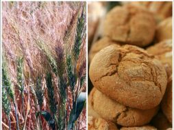 EVITA LOS PANES. El gluten se encuentra en granos como el trigo, la cebada y el centeno. ARCHIVO /