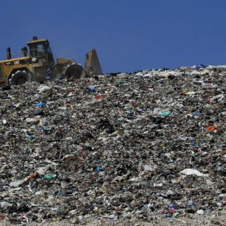 La Proepa multa a Zapopan por Picachos