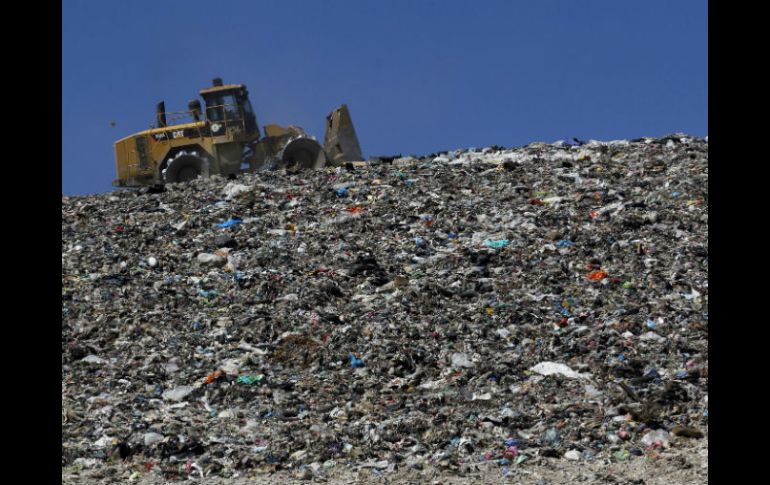 Aún no existe un diagnóstico claro respecto al daño ambiental que la serie de anomalías en que ha incurrido Picachos. ARCHIVO /