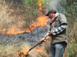 A nivel nacional se cuenta con mil 464  brigadas integradas en total con 14 mil 288 combatientes. ARCHIVO /