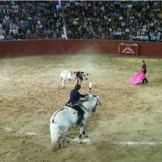 Viven noche taurina en Tlaquepaque