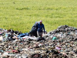 28% de los residuos sólidos de Jalisco son vertidos en tiraderos irregulares.  /
