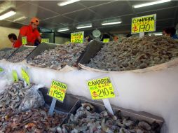 El comisionado Nacional de Acuacultura y Pesca señala que es necesario incluir productos del mar en la dieta de los mexicanos. ARCHIVO /