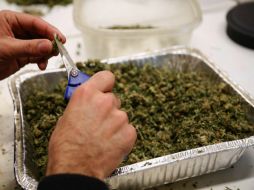Hasta ahora sólo los estados de Colorado y Washington han legalizado el consumo y la venta de mariguana. ARCHIVO /