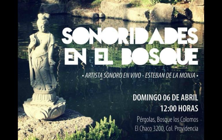 'Sonoridades del bosque' es un proyecto que cada mes presentará diversos artistas que armonicen distintas áreas del bosque. ESPECIAL /