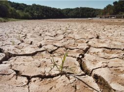 Las zonas áridas reciben menos de 254 milímetros de lluvia al año y suponen casi la mitad de la superficie terrestre de la tierra. ARCHIVO /