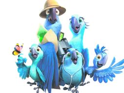 Blu y Perla son los padres de tres pequeñas aves, Carla, Bia y Tiago. ESPECIAL /