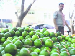 El daño. Los productores de limón de Colima han comercializado menos a causa de los daños del 'dragón amarillo'.  /