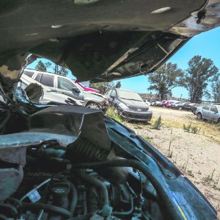 Apuestan por corralones más chicos y vigilados