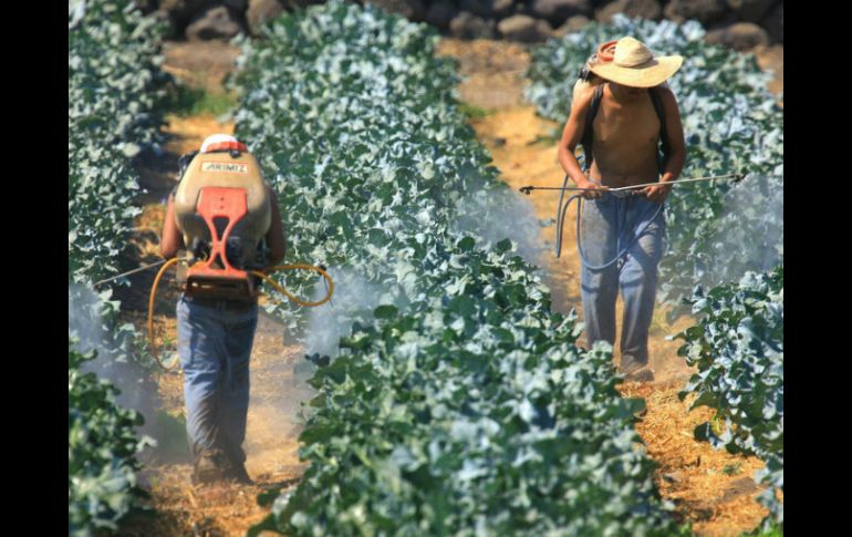 El embajador de EU en México, Anthony Wayne, informa que avanza un programa de visas para trabajadores temporales mexicanos. ARCHIVO /