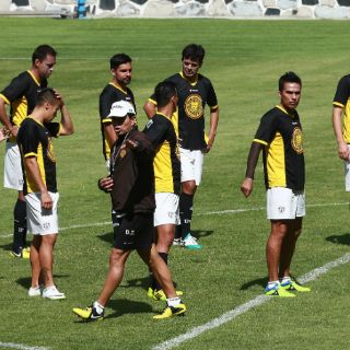 Leones Negros, a dar el último paso