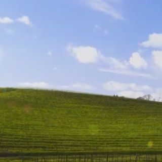 La historia del fondo de pantalla de Windows XP
