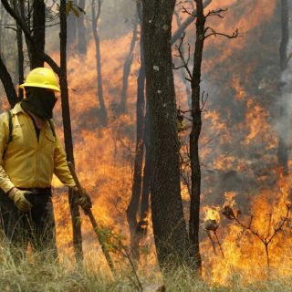 Héctor Robles lamenta se politice muerte de brigadista