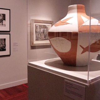 Exponen pormenores de 'Picasso revelado por David Douglas'