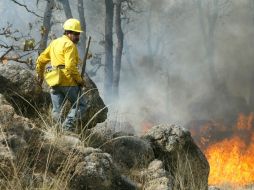Aún con su error, el diputado sostiene que brigadistas en Zapopan no cuentan con el equipo necesario para laborar y evitar accidentes. ARCHIVO /