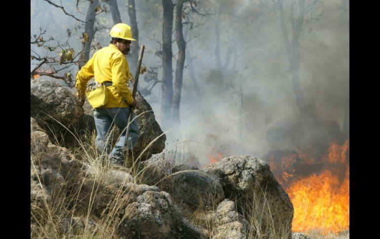 Aún con su error, el diputado sostiene que brigadistas en Zapopan no cuentan con el equipo necesario para laborar y evitar accidentes. ARCHIVO /