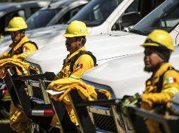 La directora dijo que Zapopan es el único municipio de la ZMG que tienen una fuerza de combate de incendios. ARCHIVO /