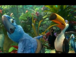 Marca éxito la cinta que narra las aventuras de las aves. ESPECIAL /