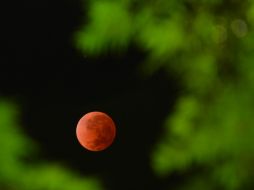 El eclipse inició a las 23:55 horas del lunes y culminó a las 04:33 horas de este martes. AFP /
