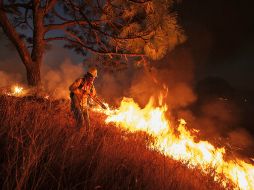 Reconocen que es necesario detectar en flagrancia a las personas que intentan iniciar un incendio. ARCHIVO /