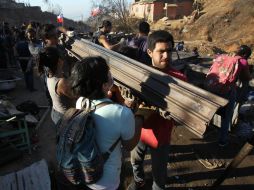 La familia soportó una invasión de hormigas y después lavar todo para ahuyentarlas. EFE /