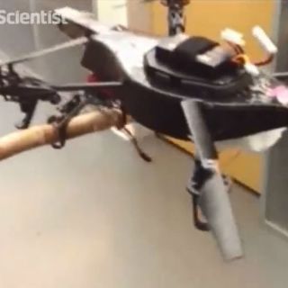 Nueva generación de drones intenta imitar a la naturaleza